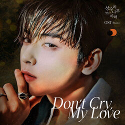 Don't Cry My Love Chords by Rilès