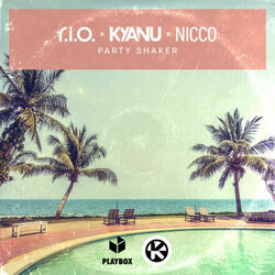 R.i.o, Kyanu, Nicco chords for Party shaker