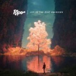 Little Lighter Bass Tab by Ripe