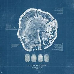 Cedar And Stone Chords by Andrew Ripp