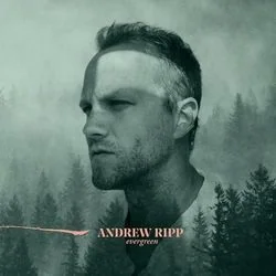 Fill My Cup Chords by Andrew Ripp