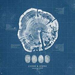 Cedar & Stone Chords by Andrew Ripp