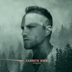 Fill My Cup Chords by Andrew Ripp