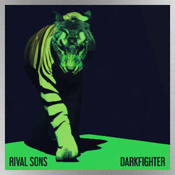 Bird In The Hand Tab by Rival Sons