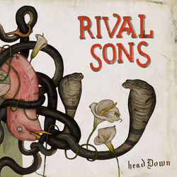 Keep On Swinging by Rival Sons