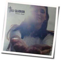 Roberta Castro chords for Teu querer