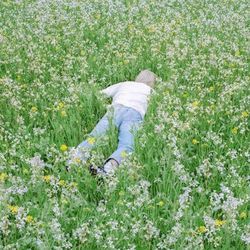 Blossom Tab by Porter Robinson