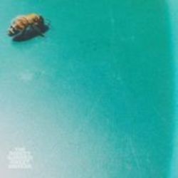 Blankets Chords by The Rocket Summer
