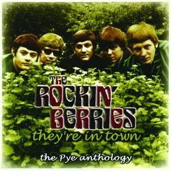 You're My Girl Chords by The Rockin Berries