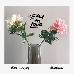 Easy To Love Chords by Rod Coote