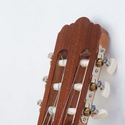 Not A Fan Ukulele Chords by ROLE MODEL
