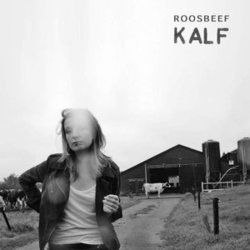 We Hebben Alles Chords by Roosbeef
