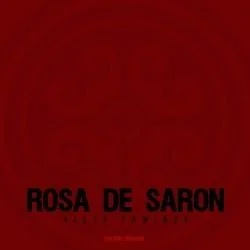 Estrangeiro Chords by Rosa De Saron