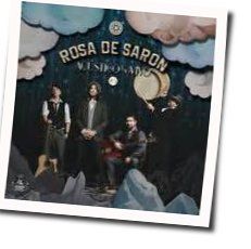 Deo Vero Chords by Rosa De Saron