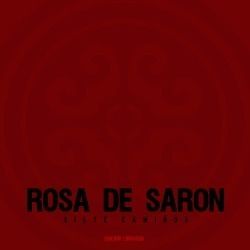 Estrangeiro Chords by Rosa De Saron