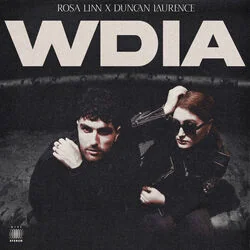 Wdia Would Do It Again Chords by Rosa Linn