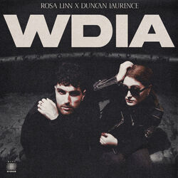 Wdia Would Do It Again by Rosa Linn