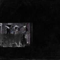 Strangers by The Rose