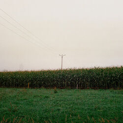 Ghosts Chords by Roselynd