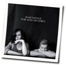 Ich Bin Veraendert Chords by Rosenstolz