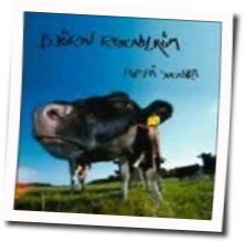 Hultsfredsfestivalen Chords by Bjorn Rosenstrom