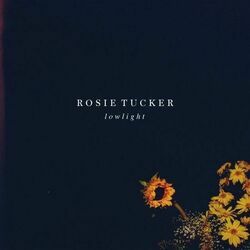 Like A Light by Rosie Tucker