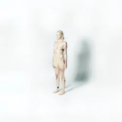 Steering So Fast Chords by Royal & The Serpent