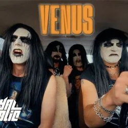 Venus Bass Tab by Royal Republic