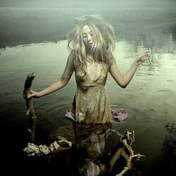 Shoe Chords by Ruby Throat