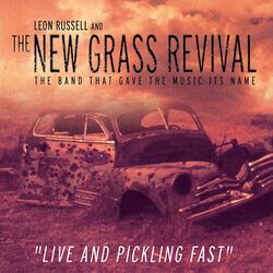 Jesus Will Take Me Home Chords by Leon Russell