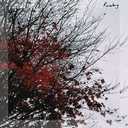 Leaving (heroe) Chords by Rxseboy