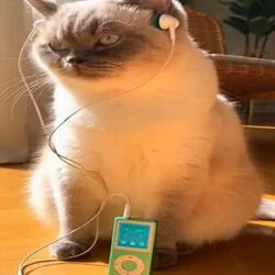 Stalk Ur Socials Chords by S0rrow