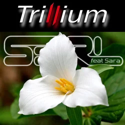 Trillium Intro Tab by S3rl