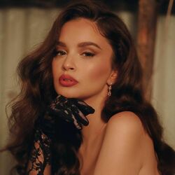 Basic Needs by Sabrina Claudio