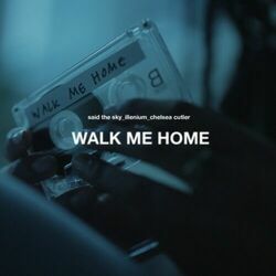 Walk Me Home Chords by Said The Sky
