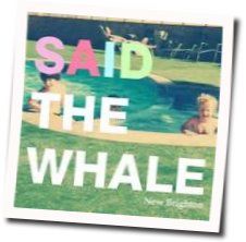 This Citys A Mess Tab by Said The Whale