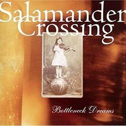 Crossing The Bar Chords by Salamander Crossing