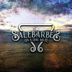 Jai Besoin Dquelquun Mauvais Chords by Salebarbes