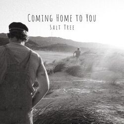 Coming Home To You Chords by Salt Tree