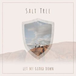 Let Your Guard Down Chords by Salt Tree