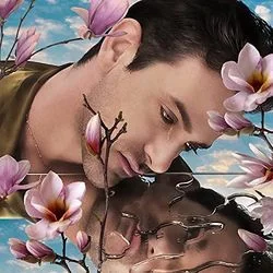 I'm Sorry Chords by Josef Salvat