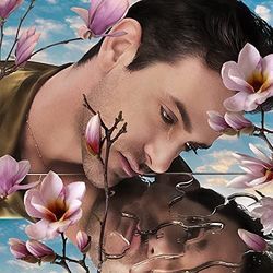 I'm Sorry Chords by Josef Salvat