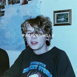 I Don't Want To Ask Your Father Or Anything Intro by Salvia Palth