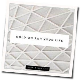 Hold On For Your Life by Sam Tinnesz