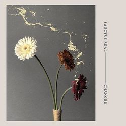 Confidence Chords by Sanctus Real