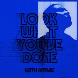 Look What You've Done Chords by Emeli Sandé
