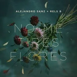 No Me Tires Flores Chords by Alejandro Sanz