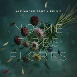 No Me Tires Flores Chords by Alejandro Sanz