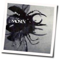 I Never Wanted To by Saosin