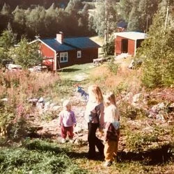 Bland Doften Av Hö Chords by Sara Renlund